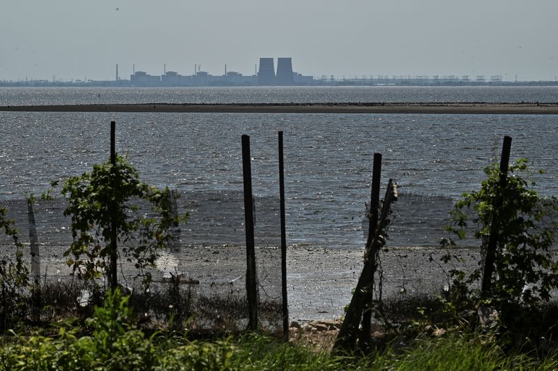 &copy; Reuters. A view shows Zaporizhzhia Nuclear Power Plant from the bank of Kakhovka Reservoir near the town of Nikopol after the Nova Kakhovka dam breached, amid Russia's attack on Ukraine, in Dnipropetrovsk region, Ukraine June 9, 2023. REUTERS/Stringer