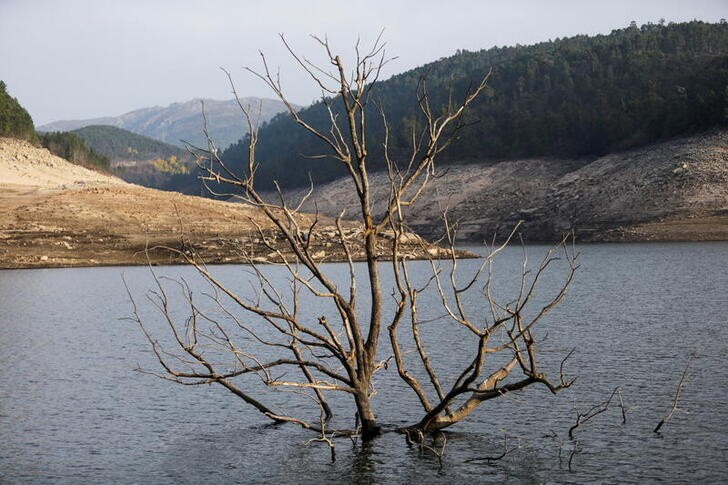 &copy; Reuters. Imagen de archivo de un embalse en Concello de Lobios, España. 10 febrero 2022. REUTERS/Miguel Vidal