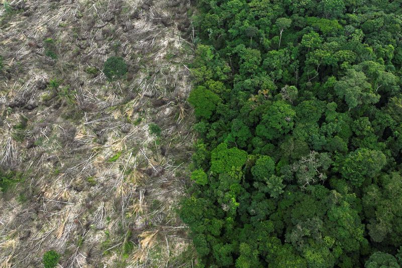 &copy; Reuters. Vista aérea de área desmatada no Estado do Pará, no Brasil
21/01/2023
REUTERS/Ueslei Marcelino