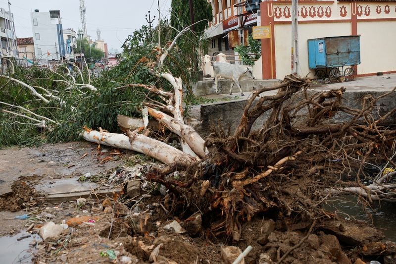 &copy; Reuters. Les dégâts engendrés par le passage du cyclone Biparjoy à Gujarat, dans l'Ouest de l'Inde le 15 juin 2023. /REUTERS/Francis Mascarenhas