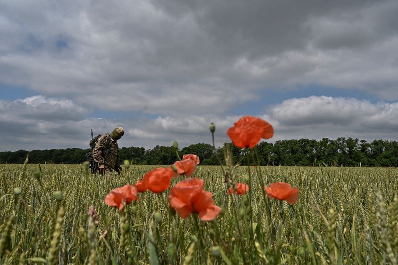 &copy; Reuters. Un militar ucraniano camina en un campo de trigo durante unos ejercicios militares cerca de un campo de entrenamiento, en medio del ataque de Rusia a Ucrania, en la región de Zaporiyia, Ucrania. 15 de junio 2023.  REUTERS/Colaborador   