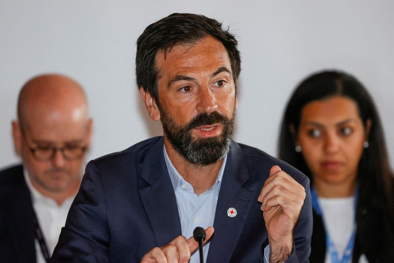 Syrians need 'way more' than pledged relief funds, ICRC says