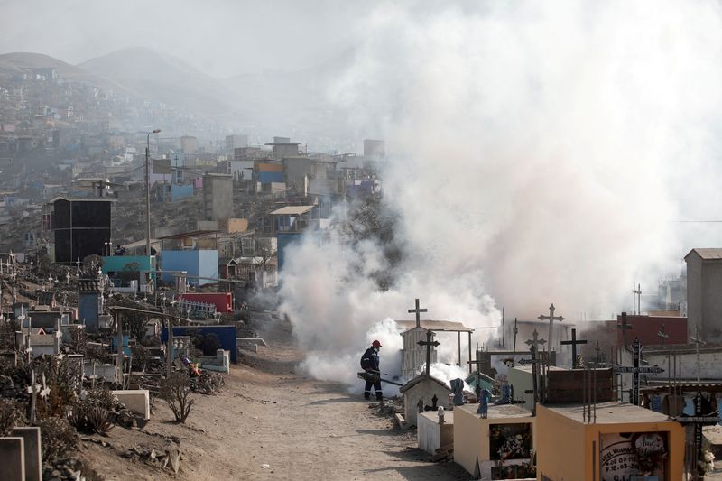 &copy; Reuters. 　６月１５日、デング熱の感染が拡大する南米ペルーで、グティエレス保健相が辞任を表明し、ボルアルテ大統領が受理した。写真はデング熱ウイルスの消毒剤を散布する人。昨年６月、リ