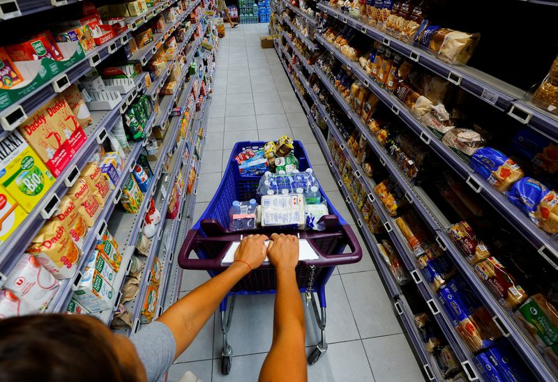 &copy; Reuters. A customer shops in a supermarket in Nice, France, August 18, 2022.  REUTERS/Eric Gaillard/FILE PHOTO