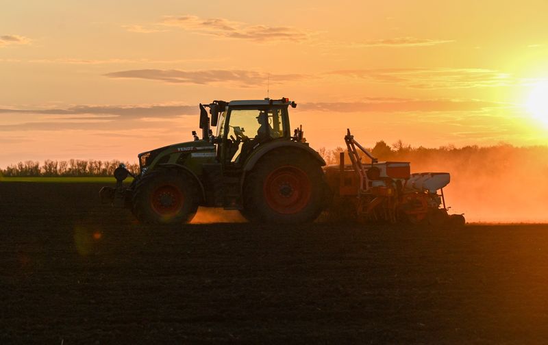 &copy; Reuters. A farmer operates a tractor while sowing corn seeds during sunset in a field near the village of Chaltyr in the Rostov region, Russia, May 5, 2023. REUTERS/Sergey Pivovarov