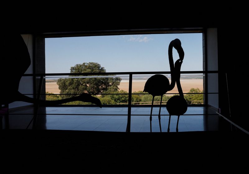 &copy; Reuters. Foto del sábado de siluetas de flamencos a través de una ventana contra una laguna seca, donde una colonia de flamencos no ha podido anidar, como anualmente, debido a la grave sequía, en la reserva natural de Fuente de Piedra, cerca de Málaga, sur de 