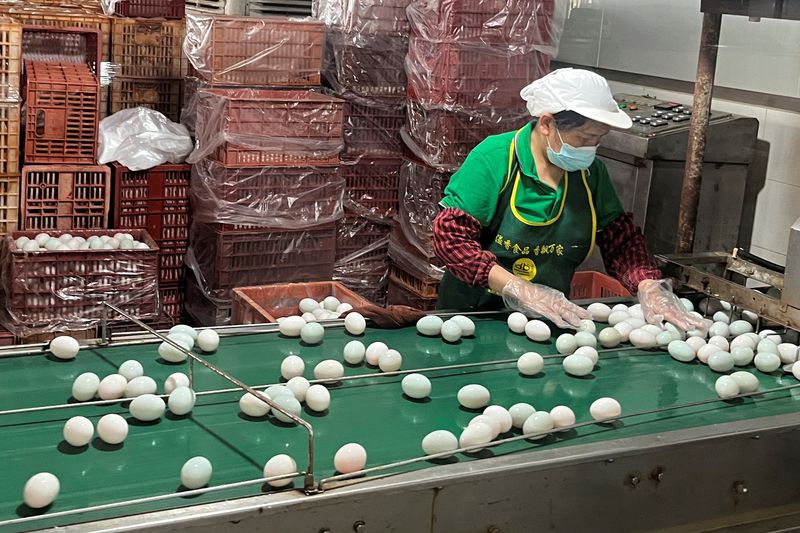 © Reuters. A worker arranges eggs on a conveyer belt at Ruichang City Yixiang Agricultural Products factory in Ruichang, Jiangxi province, China May 30, 2023. REUTERS/David Kirton