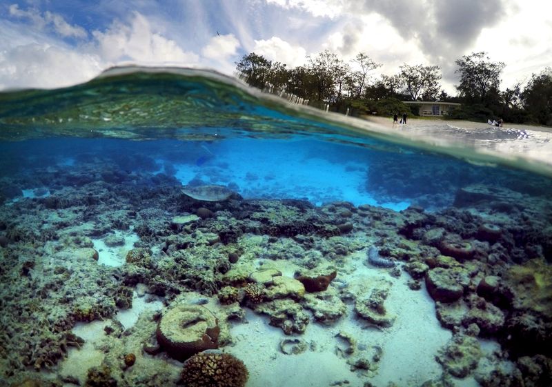 &copy; Reuters. Turistas em frente a chalés em resort na ilha Lady Elliot, na Austrália
09/06/2015
REUTERS/David Gray