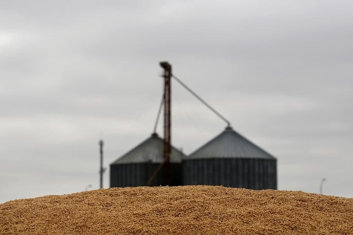 &copy; Reuters. Imagen de archivo de un montón de cebada acumulado en un campo de Madrigal de las Altas Torres, España. 10 julio 2017. REUTERS/Juan Medina