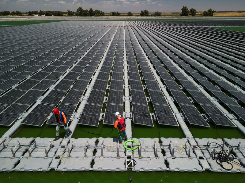 &copy; Reuters. Trabalhadores em parque de energia solar
19/06/2023
REUTERS/Amir Cohen