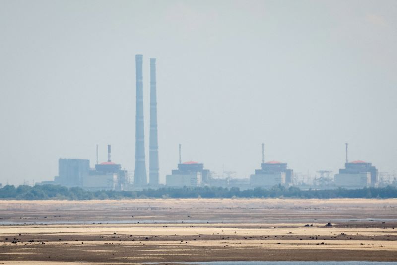 &copy; Reuters. 　６月２０日、ウクライナ国防省情報総局のブダノフ長官は、南部のザポロジエ原発（写真）に冷却水を供給する貯水池周辺に、ロシア軍が地雷を敷設していると主張した。地元テレビに語