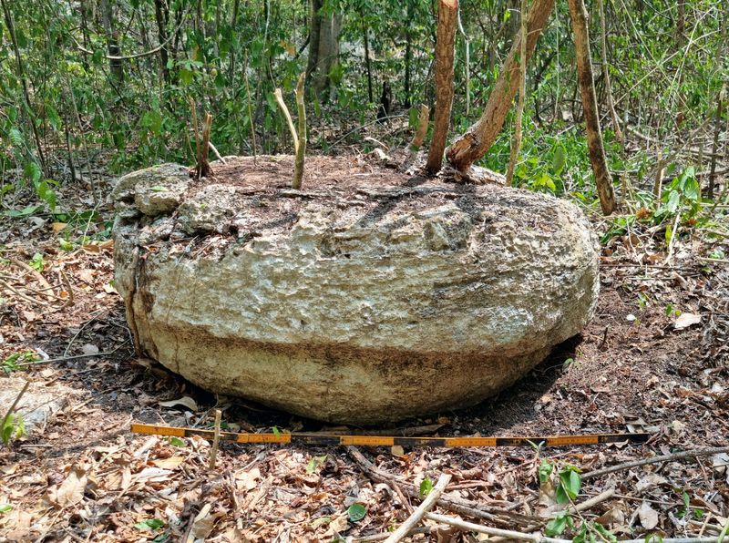 Ancient Maya city discovered in Mexican jungle