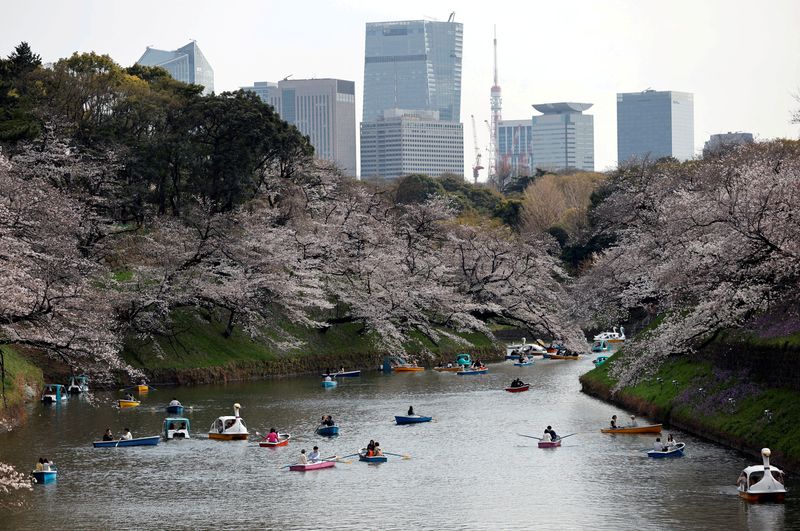 &copy; Reuters. FILE PHOTO: Visitors ride boats next to blooming cherry blossoms at Chidorigafuchi Park in Tokyo, Japan, March 22, 2023. REUTERS/Issei Kato/File Photo