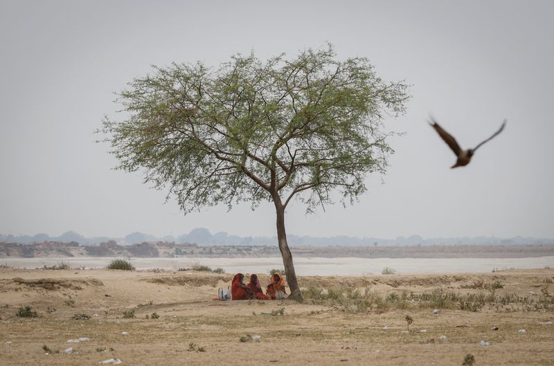 &copy; Reuters. Mulheres descansam em baixo de árvore durante onda de calor, em Uttar Pradesh, Índia
21/06/2023
REUTERS/Adnan Abidi