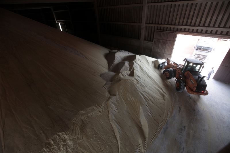 &copy; Reuters. FOTO DE ARCHIVO: Imagen referencial de un camión empujando montones de azúcar en un molino de Da Mata, el procesador brasileño de caña de azúcar, en Valparaíso, a 355 millas al noroeste de Sao Paulo, Brasil. 18 de septiembre, 2014. REUTERS/Paulo Whi
