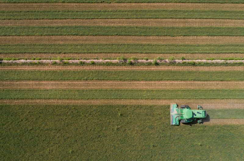 &copy; Reuters. An alfalfa field, a water-intensive crop, is cut by a Triple M Farms employee amid extreme drought conditions in Pinal County near Casa Grande, Arizona, U.S., August 27, 2022.  REUTERS/Rebecca Noble