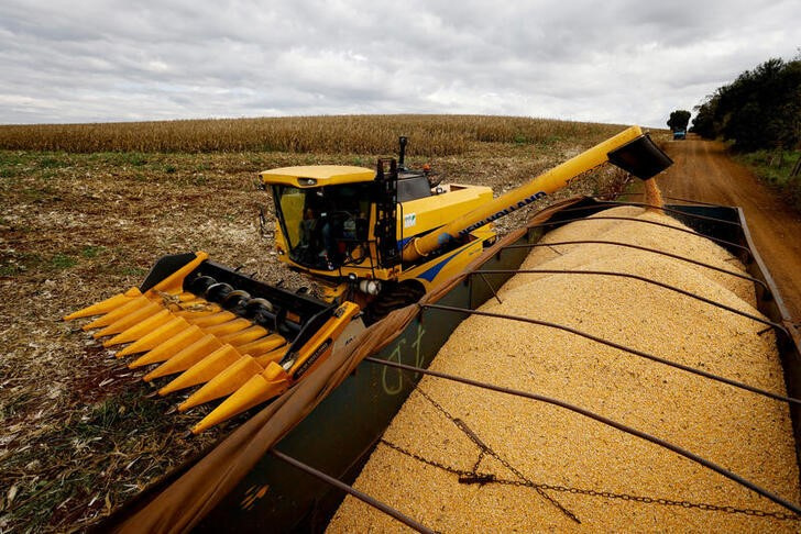 &copy; Reuters. Imagen de archivo de la cosecha de maíz en una plantación en Maringa, Brasil. 13 julio 2022. REUTERS/Rodolfo Buhrer