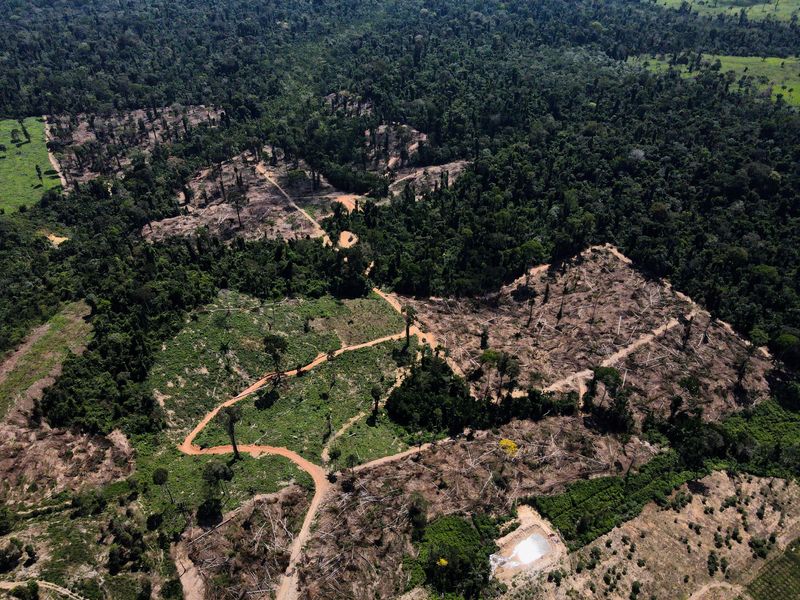&copy; Reuters. مشهد يظهر منطقة أزيلت منها الغابات في وسط غابة الأمازون بالبرازيل. صورة من أرشيف رويترز.
