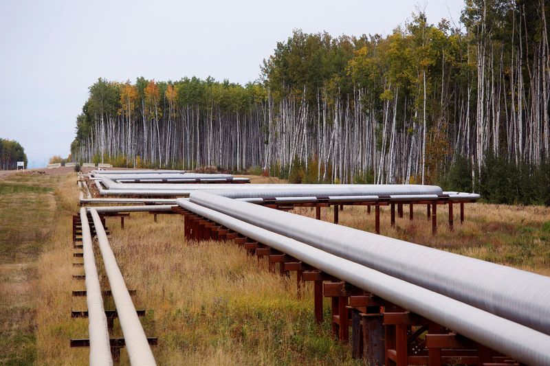 &copy; Reuters. FILE PHOTO: Pipelines run at the McKay River Suncor oil sands in-situ operations near Fort McMurray, Alberta, September 17, 2014. REUTERS/Todd Korol/File Photo