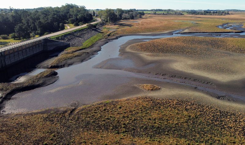 In parched Uruguay, tensions rise as water levels fall