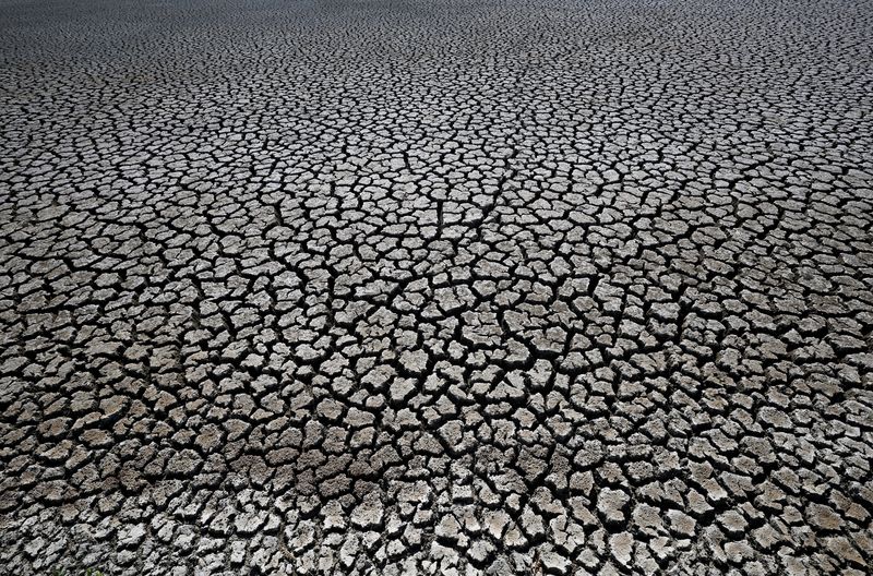 &copy; Reuters. FOTO DE ARCHIVO: Suelo agrietado y seco en el Marais Breton en Villeneuve-en-Retz, durante una sequía histórica en Francia, 8 de agosto de 2022. REUTERS/Stephane Mahe