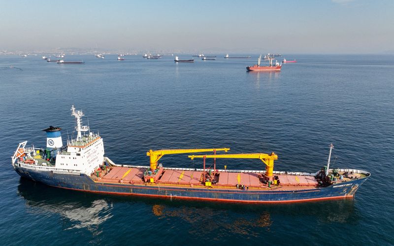 &copy; Reuters. سفينة الشحن "محمد بيه" تنتظر المرور عبر مضيق البوسفور قبالة شواطئ ينيكابي خلال صباح ضبابي في اسطنبول بتركيا يوم 31 أكتوبر تشرين الأول 2022. تصوي