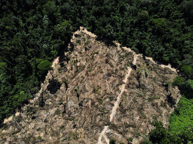 &copy; Reuters. Área desmatada em meio à floresta amazônica no município de Uruará, Pará, Brasil
14/7/2021
REUTERS/Bruno Kelly