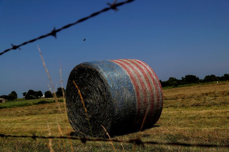 © Reuters. FILE PHOTO: A bale of hay sits wrapped in a material to look like the American flag on a farm in Appleton City, Missouri, U.S., August 11, 2021. REUTERS/Shannon Stapleton/