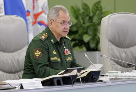 Russian defence minister Shoigu shown inspecting troops By Reuters