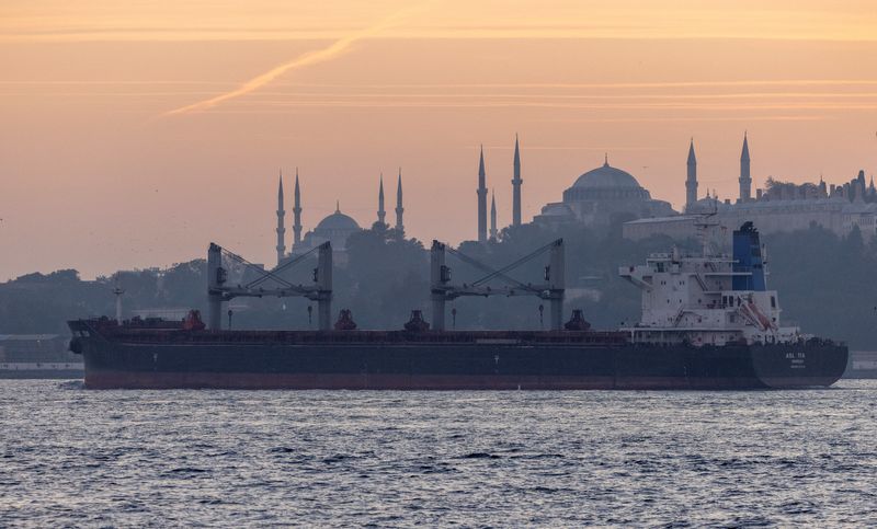 © Reuters. FILE PHOTO: Asl Tia, a cargo vessel carrying Ukrainian grain, transits Bosphorus, in Istanbul, Turkey November 2, 2022. REUTERS/Umit Bektas