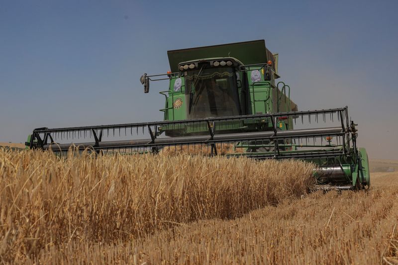 &copy; Reuters. A combine harvests barley in a field, amid Russia's attack on Ukraine, in Odesa region, Ukraine June 23, 2023. REUTERS/Nina Liashonok