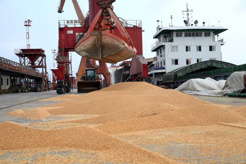 &copy; Reuters. FOTO DE ARCHIVO: Granos de soja importados son transportados desde un buque de carga en un puerto en Nantong, provincia de Jiangsu, China. 21 de agosto, 2018. REUTERS/Stringer ATENCIÓN EDITORES - ESTA IMAGEN FUE PROPORCIONADA POR UN TERCERO. NO DISPONIBL