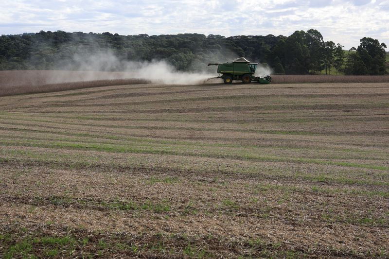 &copy; Reuters. Colheita de soja em campo em Ponta Grossa, Paraná
25/04/2023
REUTERS/Rodolfo Buhrer