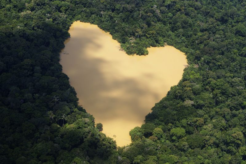 &copy; Reuters. Vista aérea de um lago natural alimentado por uma nascente na bacia do rio Amazonas perto de Manaus
03/09/2010
REUTERS/Ivan Canabrava