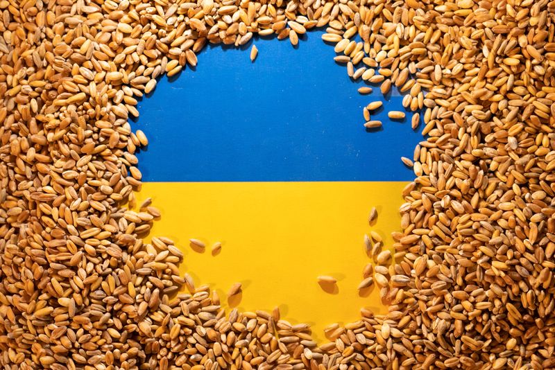 &copy; Reuters. FOTO DE ARCHIVO: La bandera ucraniana está cubierta de granos en esta ilustración tomada el 9 de mayo de 2022. REUTERS/Dado Ruvic/Ilustración