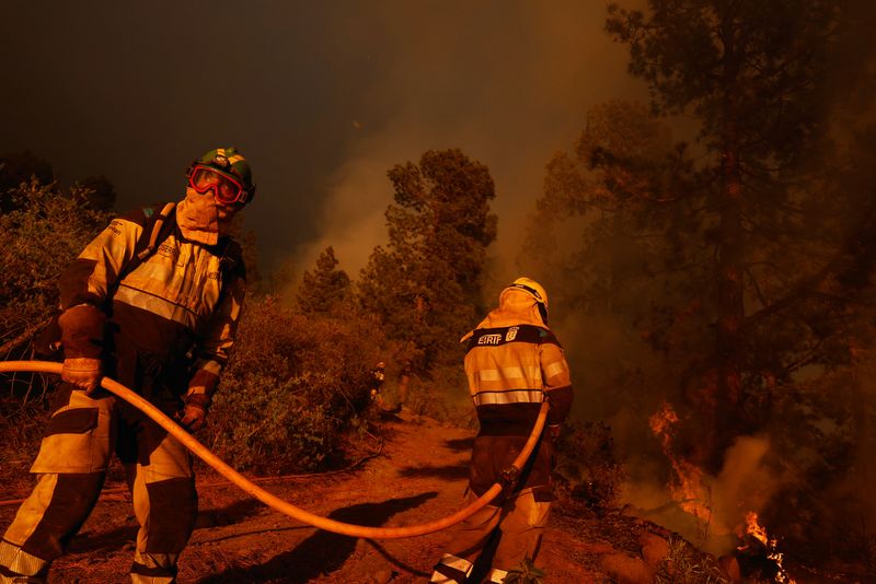 © Reuters. EIRIF forest firefighters work during the extinction of the Tijarafe fire on the Canary Island of La Palma, Spain July 16, 2023 REUTERS/Borja Suarez