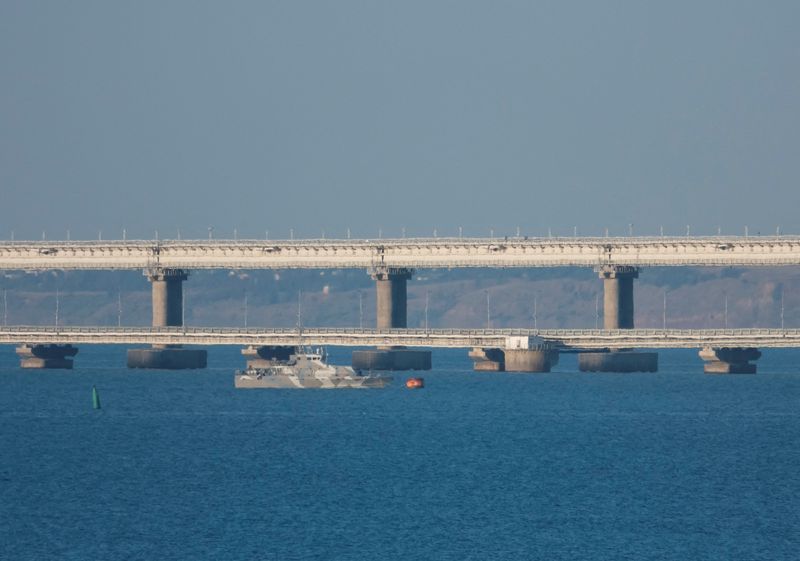 © Reuters. سفينة مسلحة تبحر بجوار جسر القرم الذي يربط شبه جزيرة القرم بالأراضي الروسية عبر مضيق كيرش في صورة التقطت يوم الاثنين. تصوير : رويترز.


