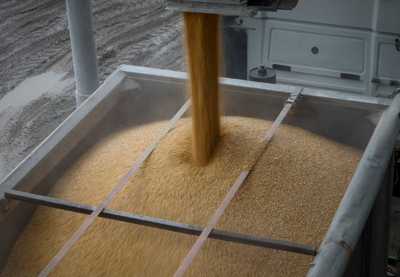 &copy; Reuters. FOTO DE ARCHIVO: Una carga de maíz se vierte en un camión, en un almacén de grano en el pueblo de Bilohiria, región de Jmelnitski, Ucrania. 19 de abril, 2023. REUTERS/Gleb Garanich/Archivo