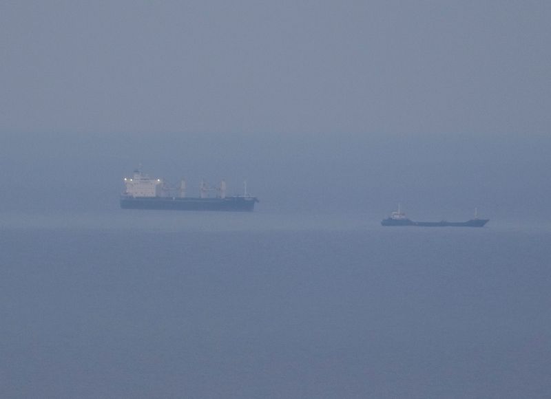 &copy; Reuters. Grain ships carrying Ukrainian grain are seen in  the Black Sea, amid Russia's attack on Ukraine, near Ukrainian port of Odesa, Ukraine October 30, 2022.  REUTERS/Serhii Smolientsev/File photo