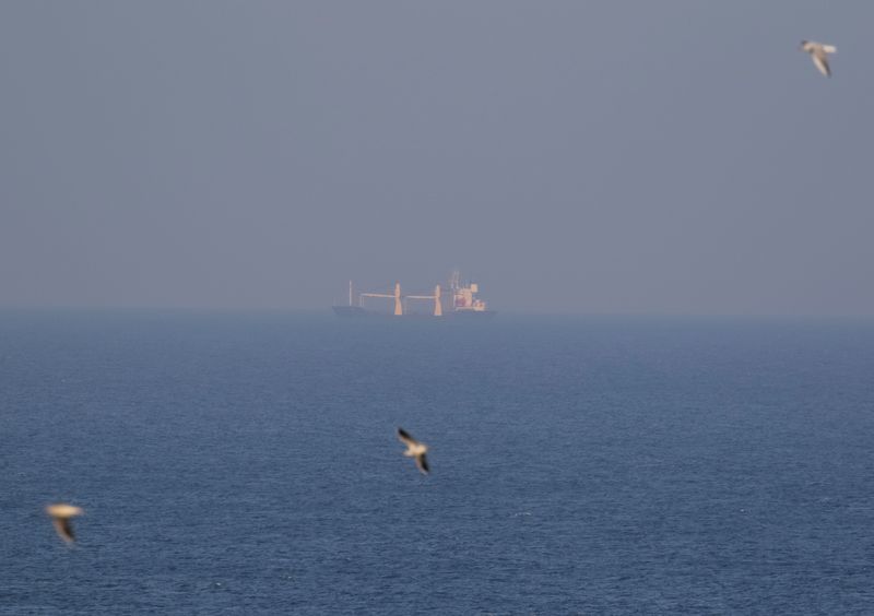 &copy; Reuters. FILE PHOTO: A grain ship carrying Ukrainian grain is seen in the Black Sea, amid Russia's attack on Ukraine, near Ukrainian port of Odesa, Ukraine November 2, 2022.  REUTERS/Serhii Smolientsev/File Photo