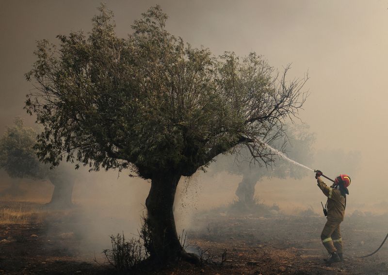 Grèce: Les feux de forêt presque circonscrits, nouvelle vague de chaleur attendue