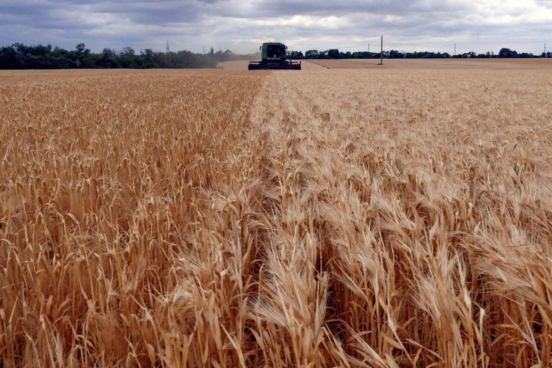 &copy; Reuters. FOTO DE ARCHIVO: Una cosechadora cosecha cebada en un campo, en la región de Odesa, Ucrania. 23 de junio 2022.  REUTERS/Igor Tkachenko