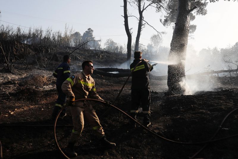&copy; Reuters. رجال الإطفاء يرشون الماء لإطفاء حريق غابات مشتعل بالقرب من قرية رودوبولي في أثينا باليونان في صورة من أرشيف رويترز.