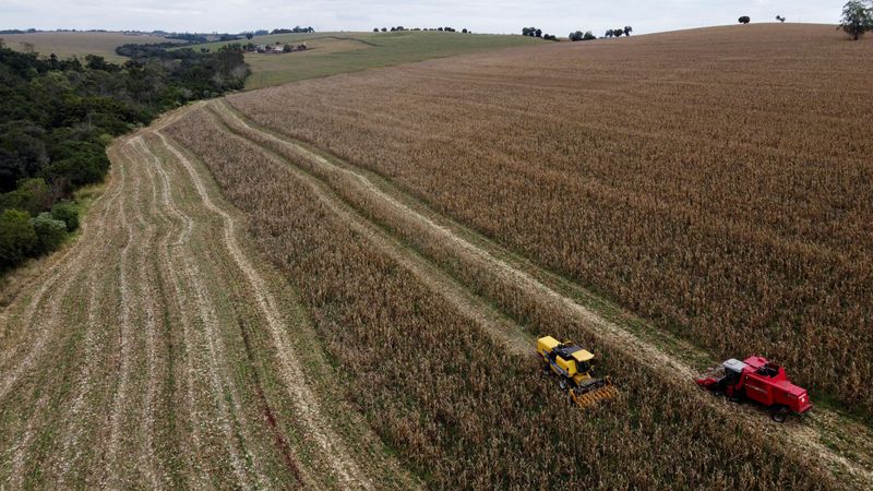 &copy; Reuters. FOTO DE ARCHIVO: Un agricultor utiliza una máquina para recoger maíz en una plantación en Maringa, Brasil, 13 de julio de 2022. REUTERS/Rodolfo Buhrer