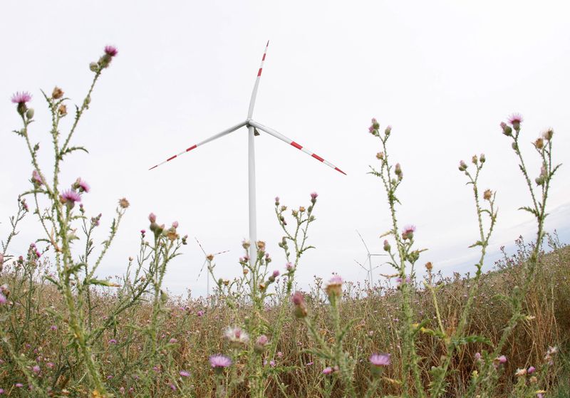 &copy; Reuters. FILE PHOTO: A view of a power-generating windmill turbine at a wind park near Parndorf, Austria, July 13, 2023. REUTERS/Leonhard Foeger/File Photo