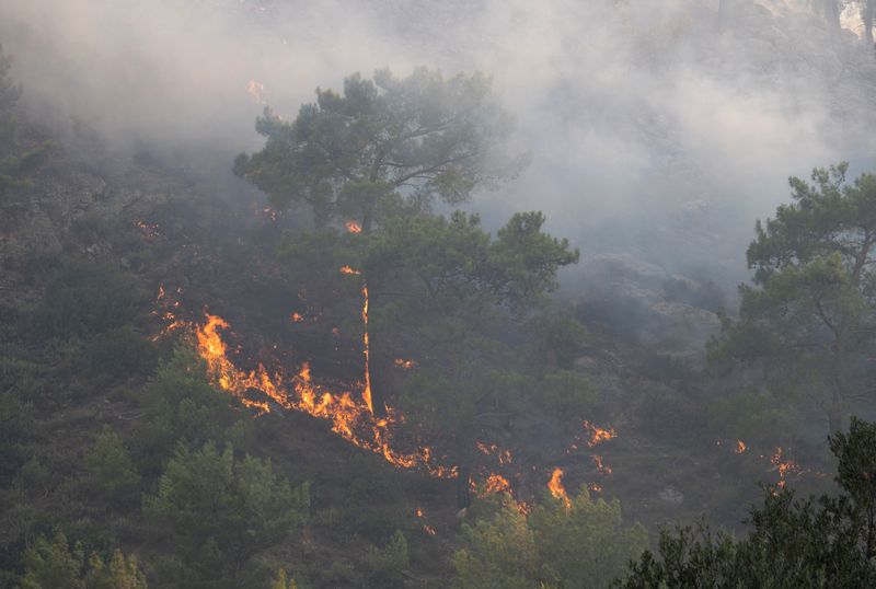 © Reuters. A wildfire burns in a forest near Lardos, on the island of Rhodes, Greece, July 22, 2023. REUTERS/Vassilis Ikoutas
