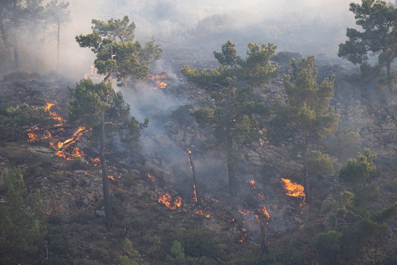 &copy; Reuters. حريق هائل مشتعل في غابة بالقرب من لاردوس في جزيرة رودس باليونان يوم السبت. تصوير: فاسيليس إيكوتاس - رويترز. يحظر إعادة بيع الصورة أو الاحتفاظ 
