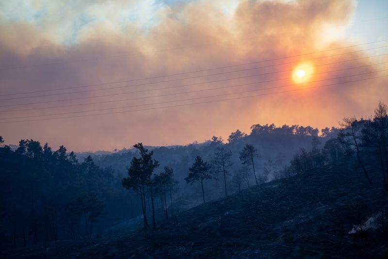 &copy; Reuters. Incêndios florestais devastando a região perto de Lardos
23/07/2023
REUTERS/Vassilis Ikoutas