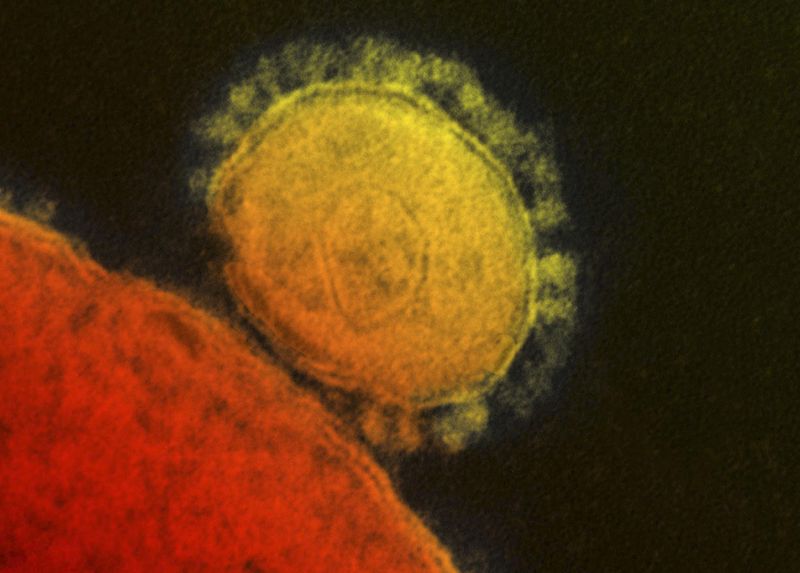 &copy; Reuters. FOTO DE ARCHIVO: El coronavirus del síndrome respiratorio de Oriente Medio (MERS) en una micrografía electrónica de transmisión sin fecha del Instituto Nacional de Alergias y Enfermedades Infecciosas (NIAID). REUTERS/Instituto Nacional de Alergias y E