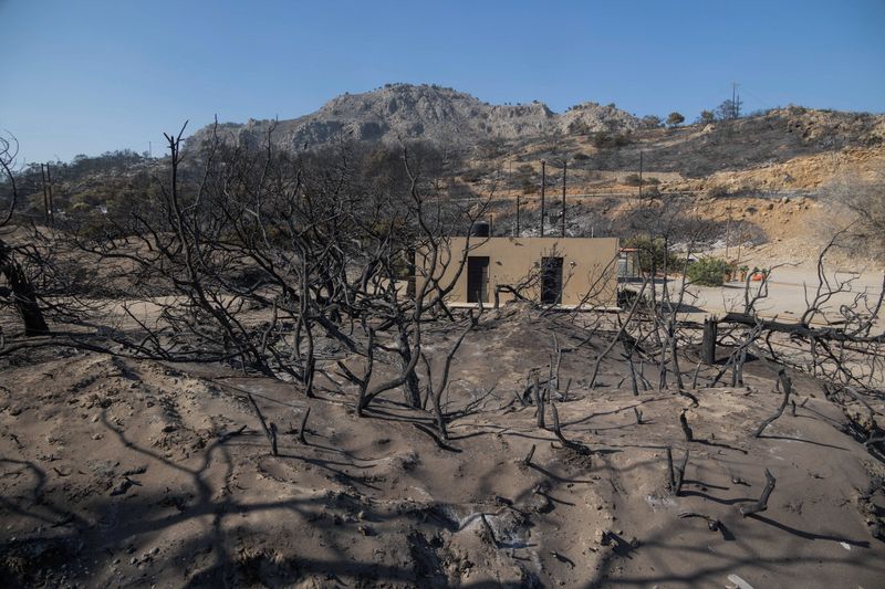 © Reuters. Charred trees are seen next to the beach of Glystra, as a wildfire burns on the island of Rhodes, Greece, July 24, 2023. REUTERS/Nicolas Economou